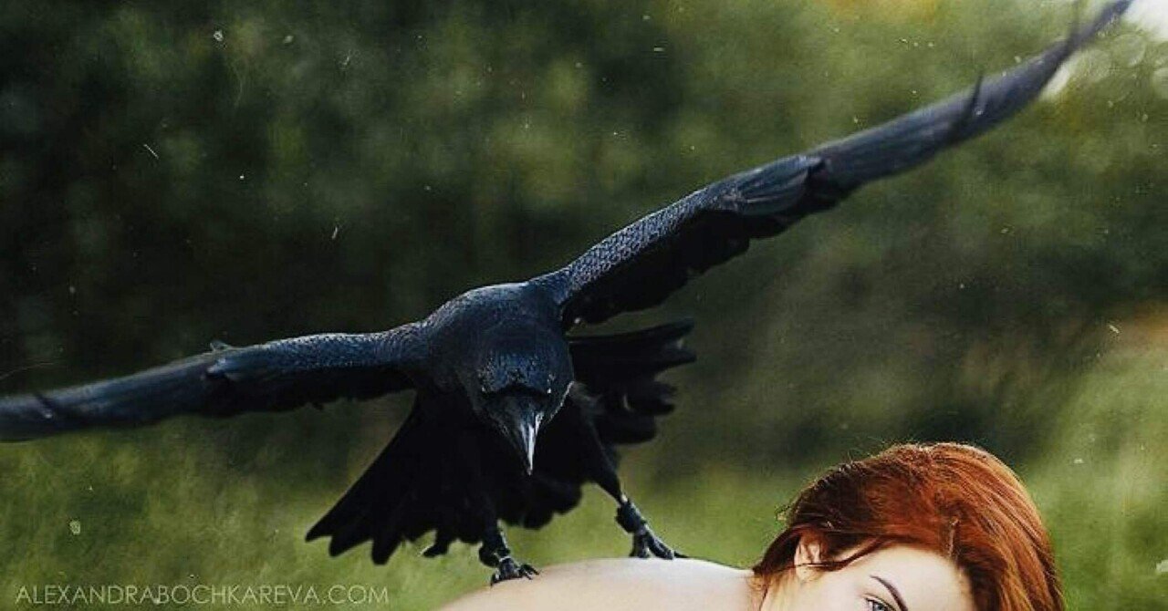 カラスの恩返し ノリノリ Note