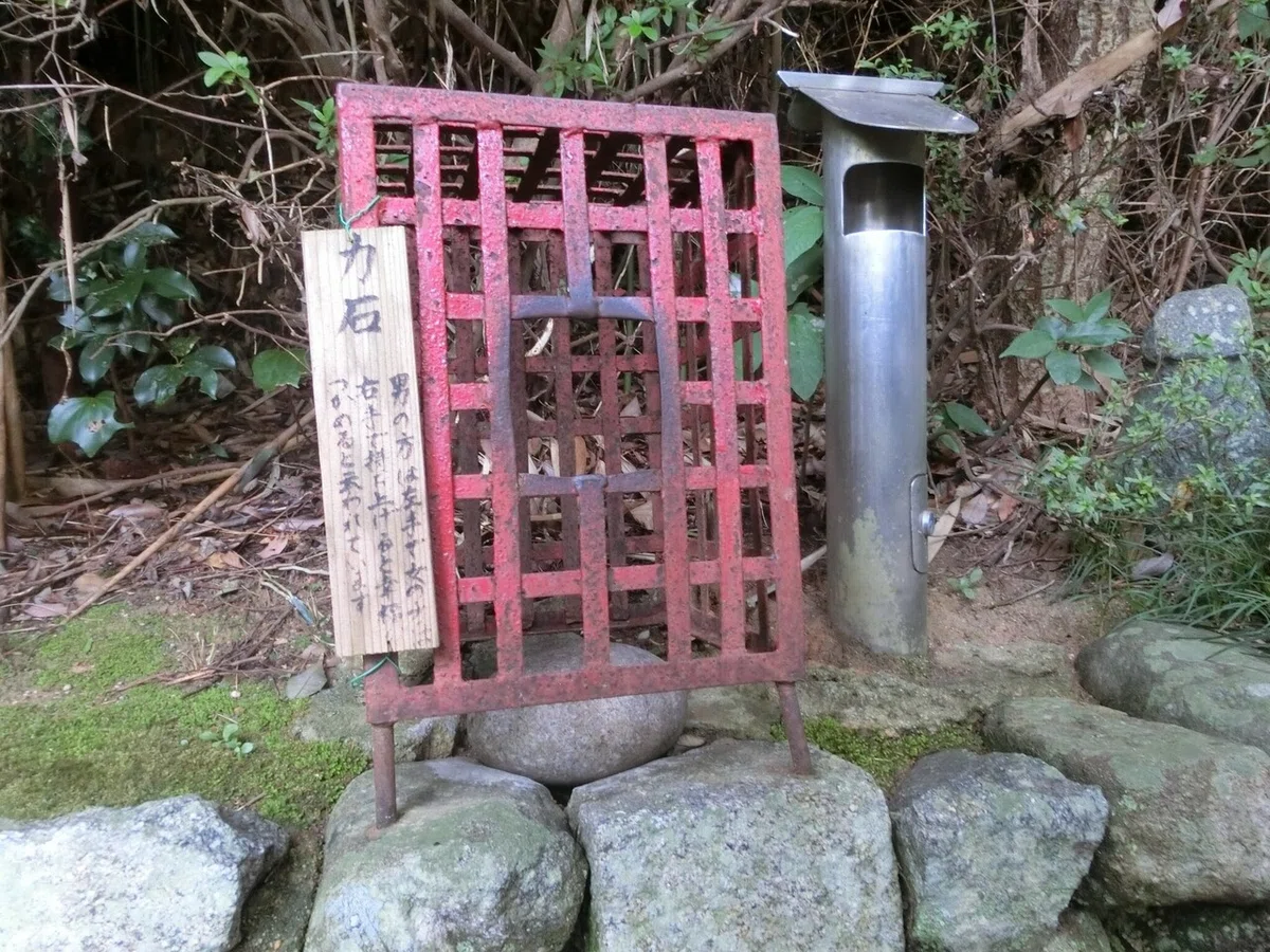 画像6