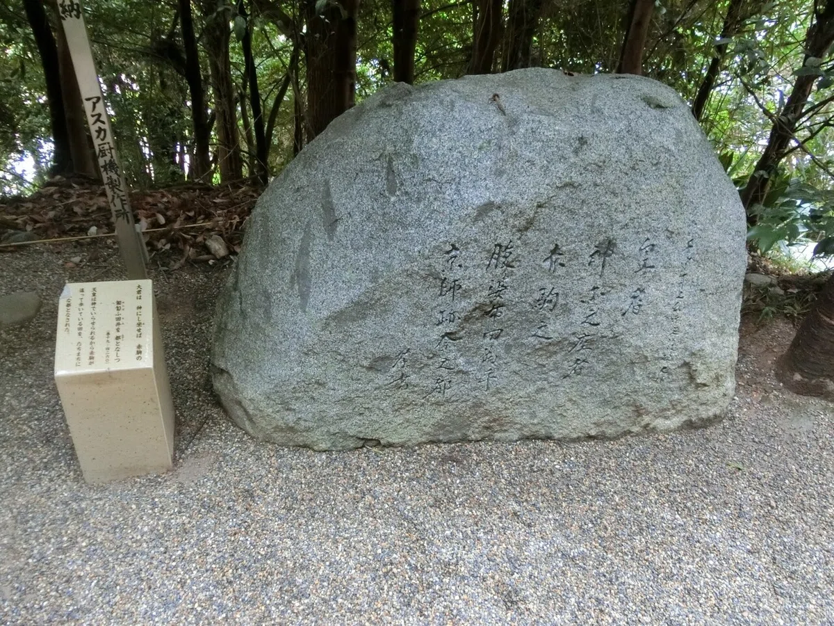画像8