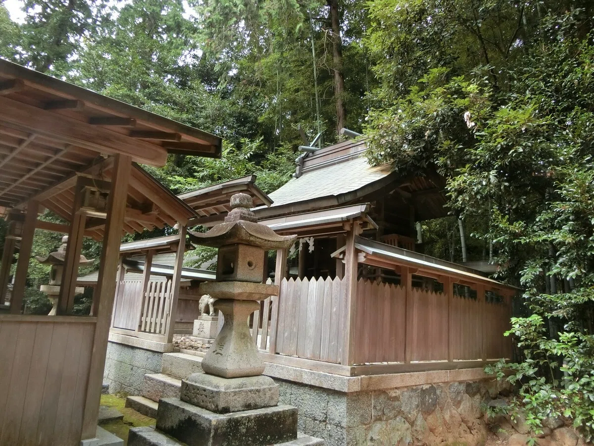 画像19