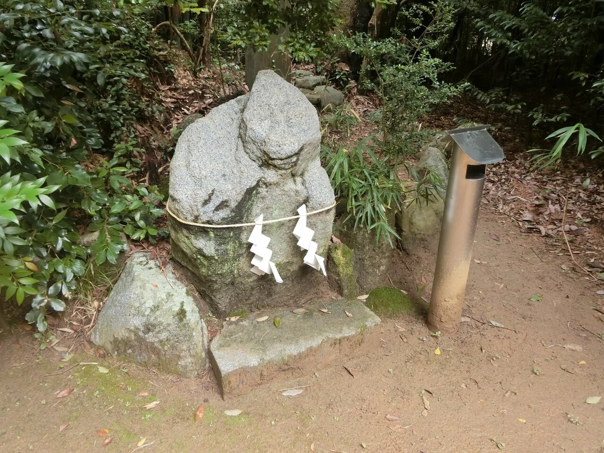 画像20
