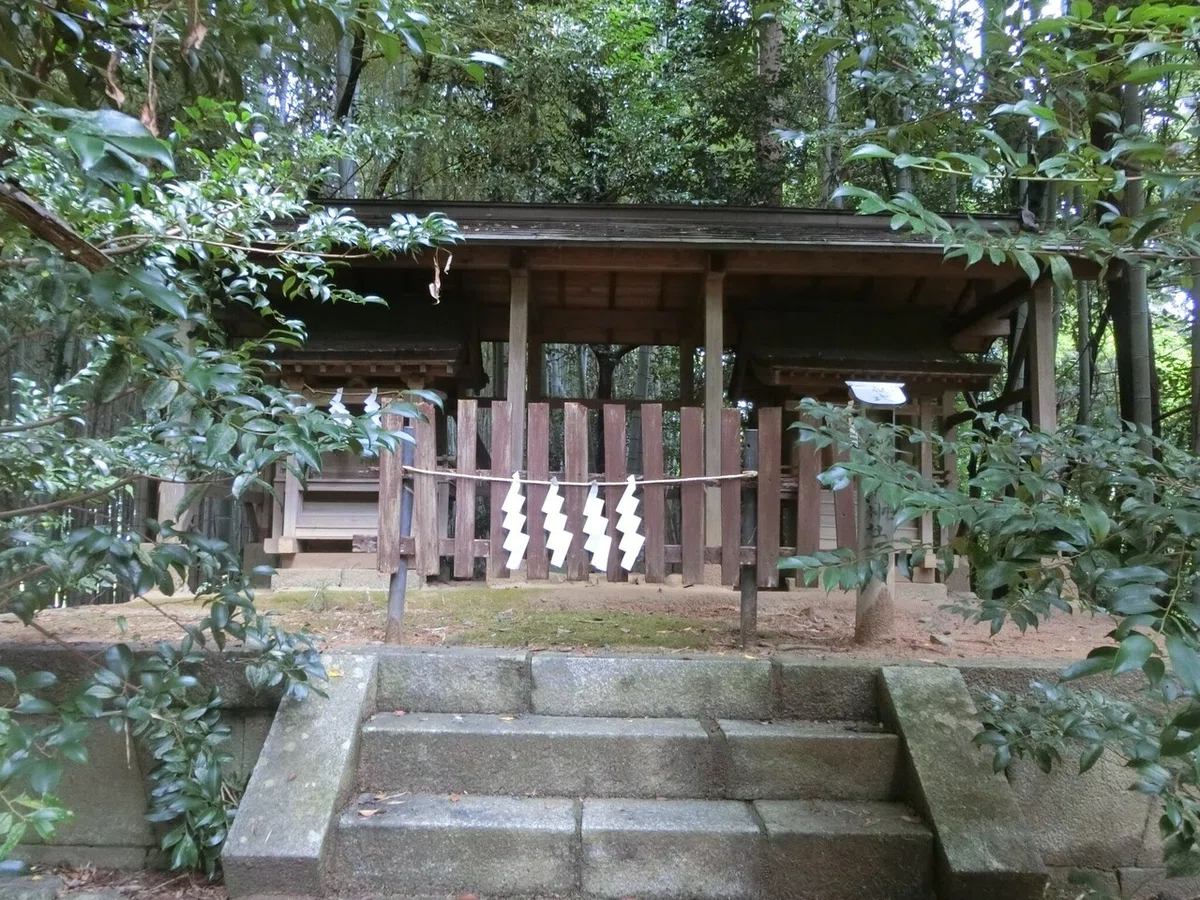 画像22
