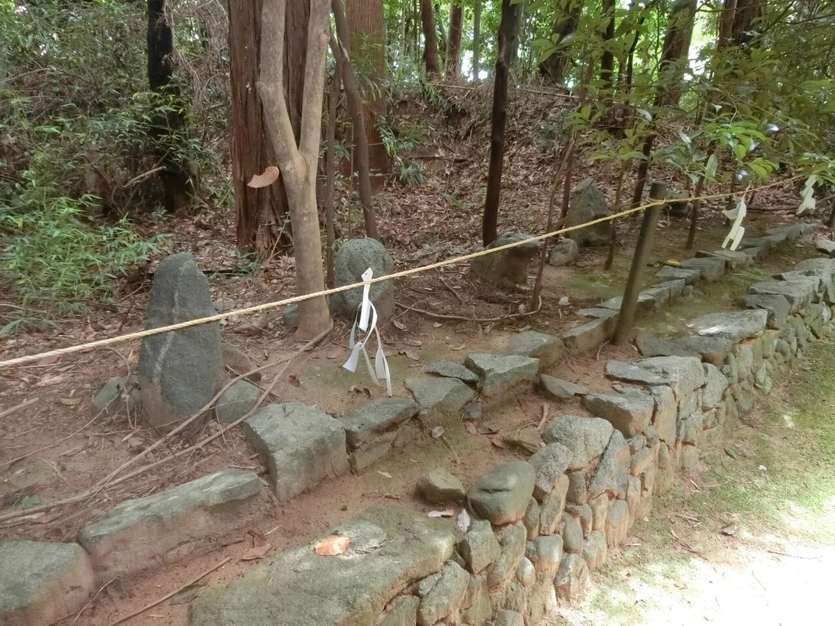 画像24