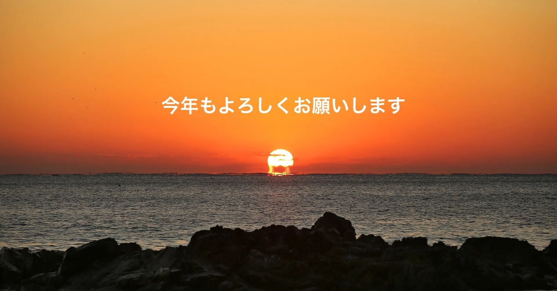 よろしくお願いします」｜パクジュナ
