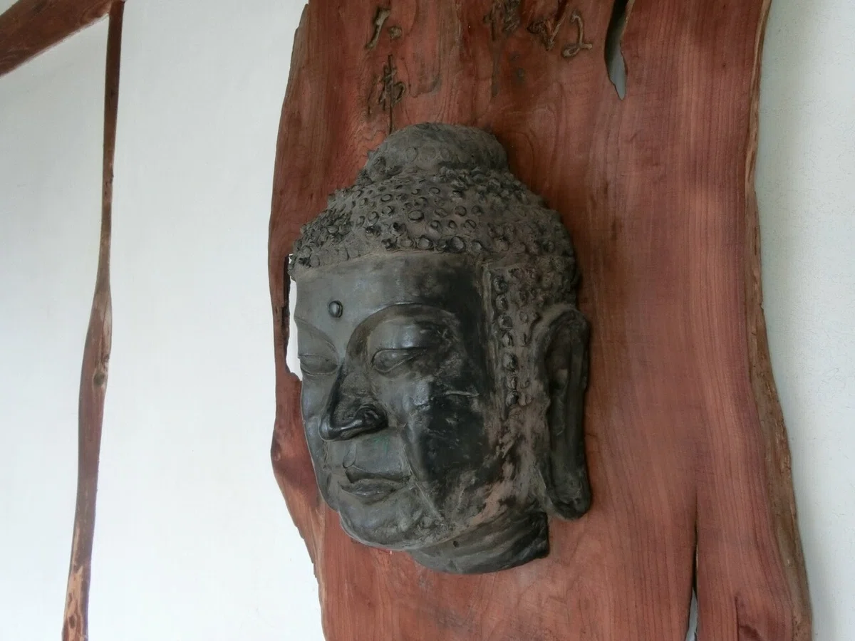 画像9