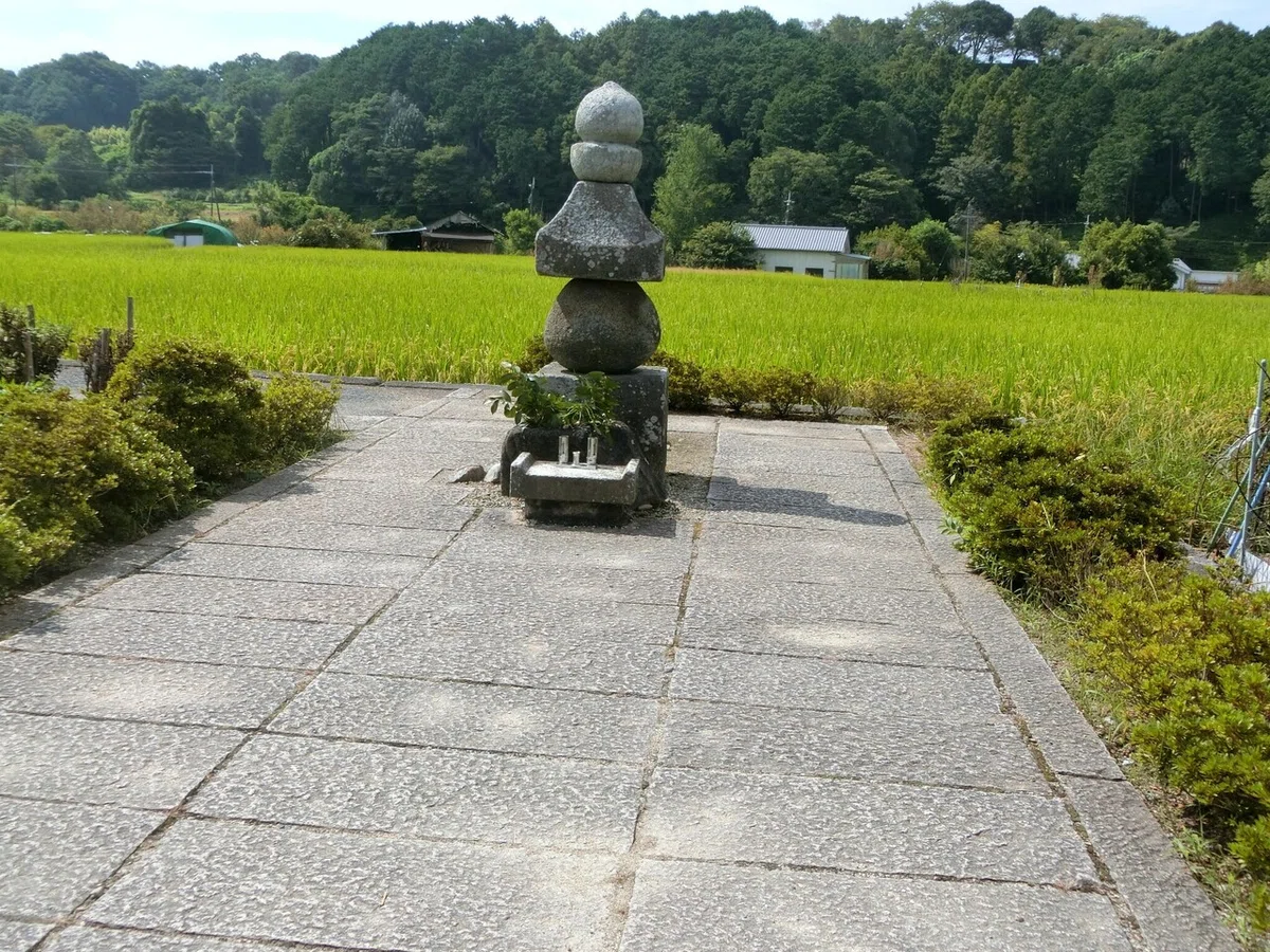 画像13