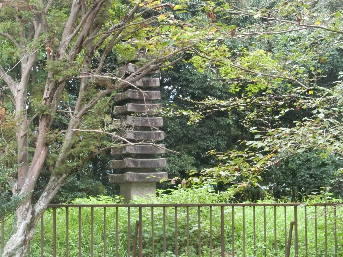画像6