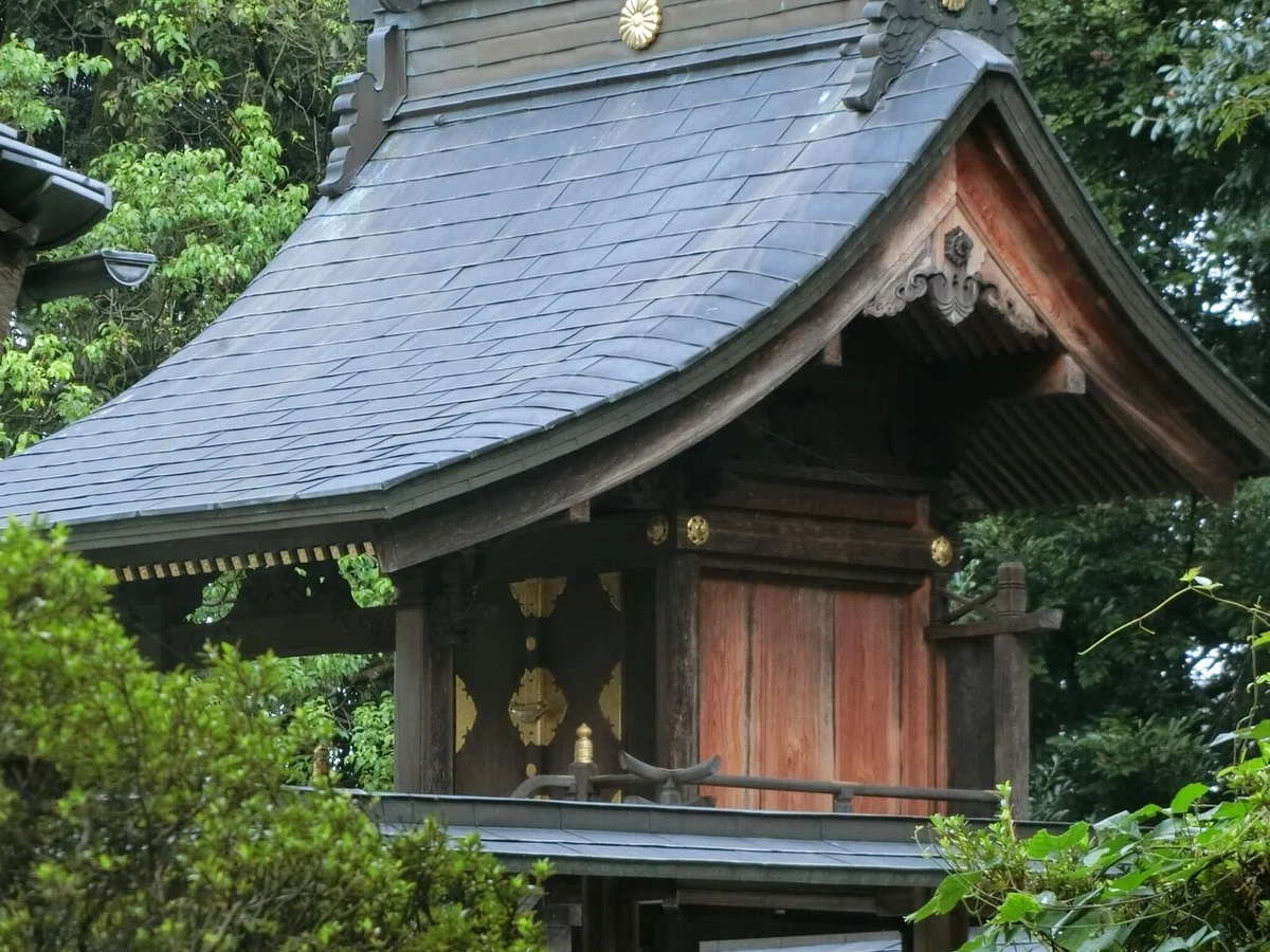 画像8