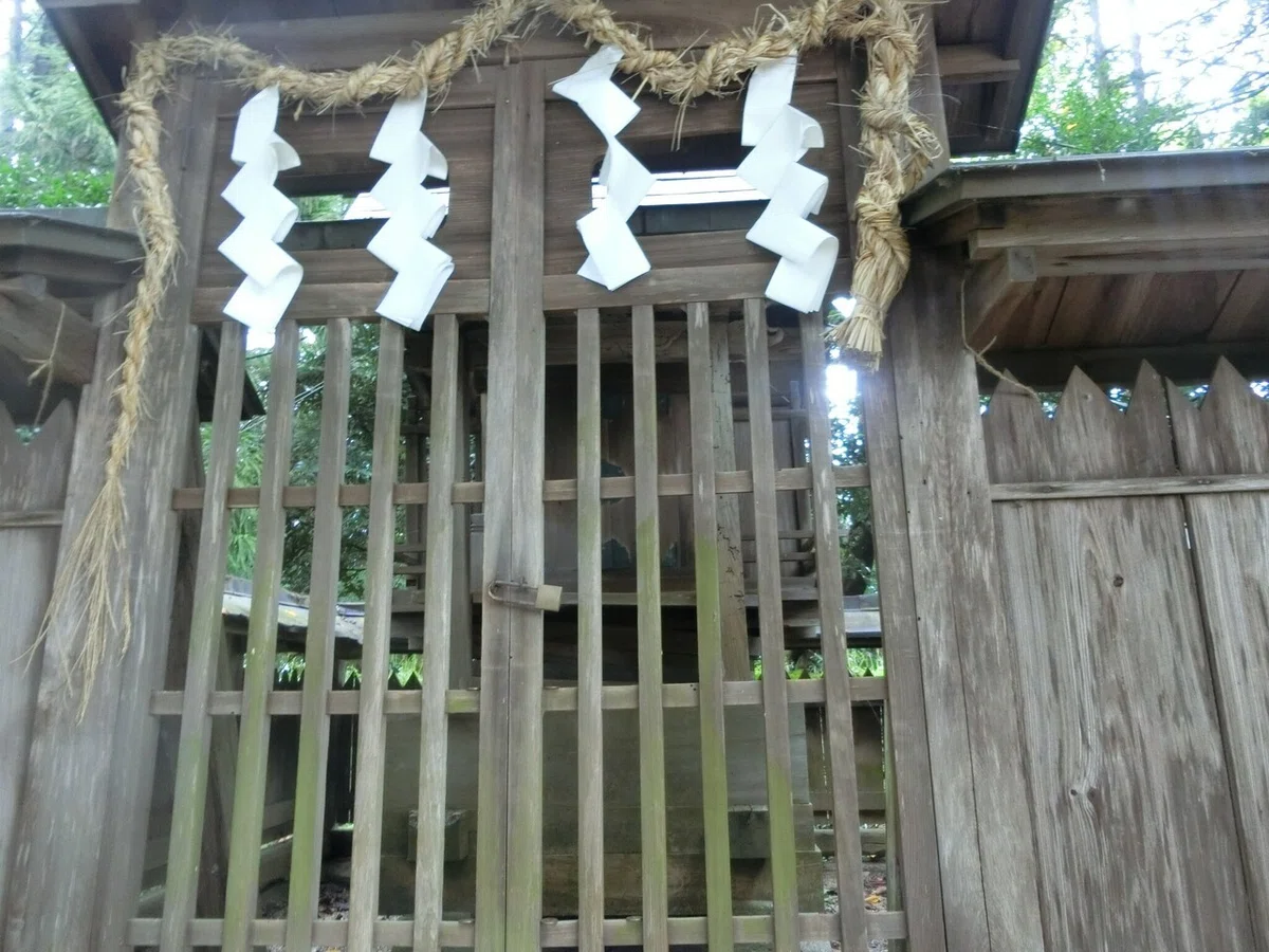 画像10