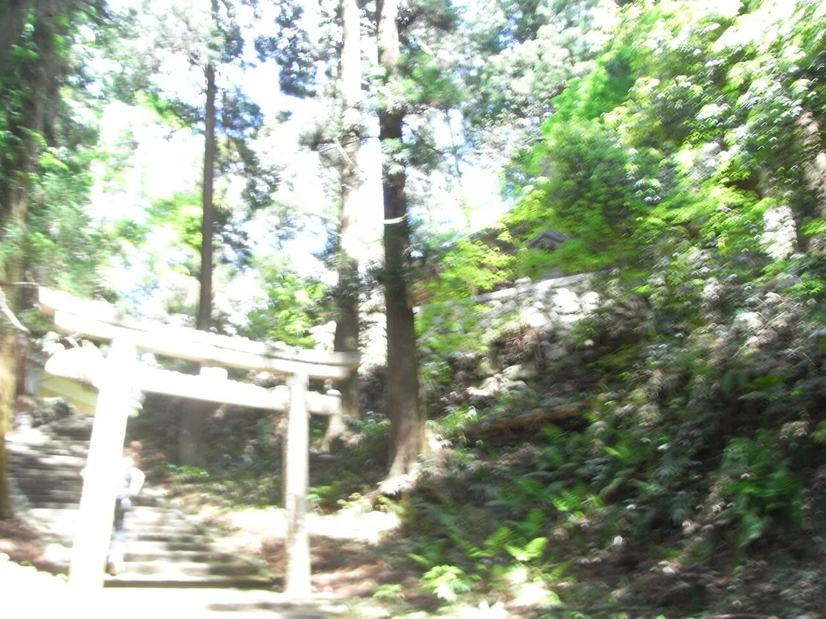 画像4