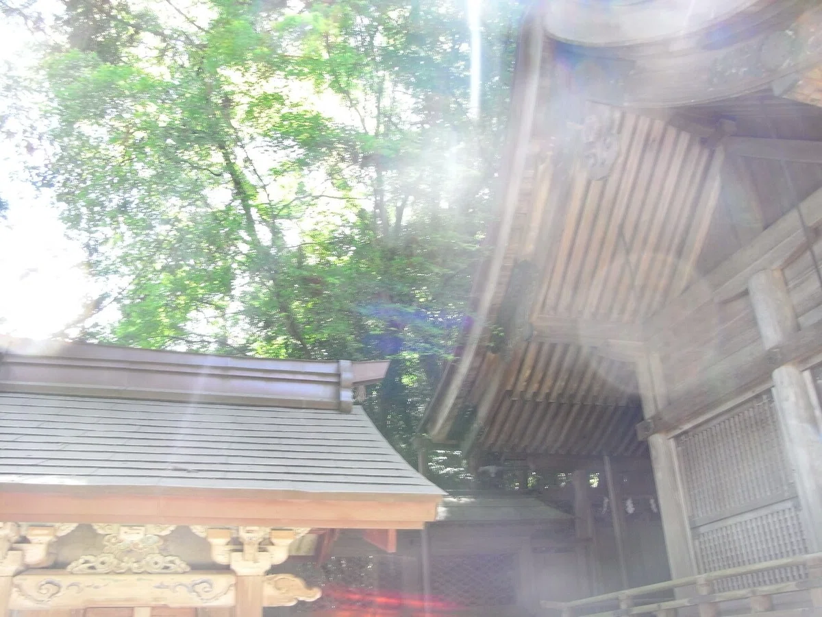 画像9