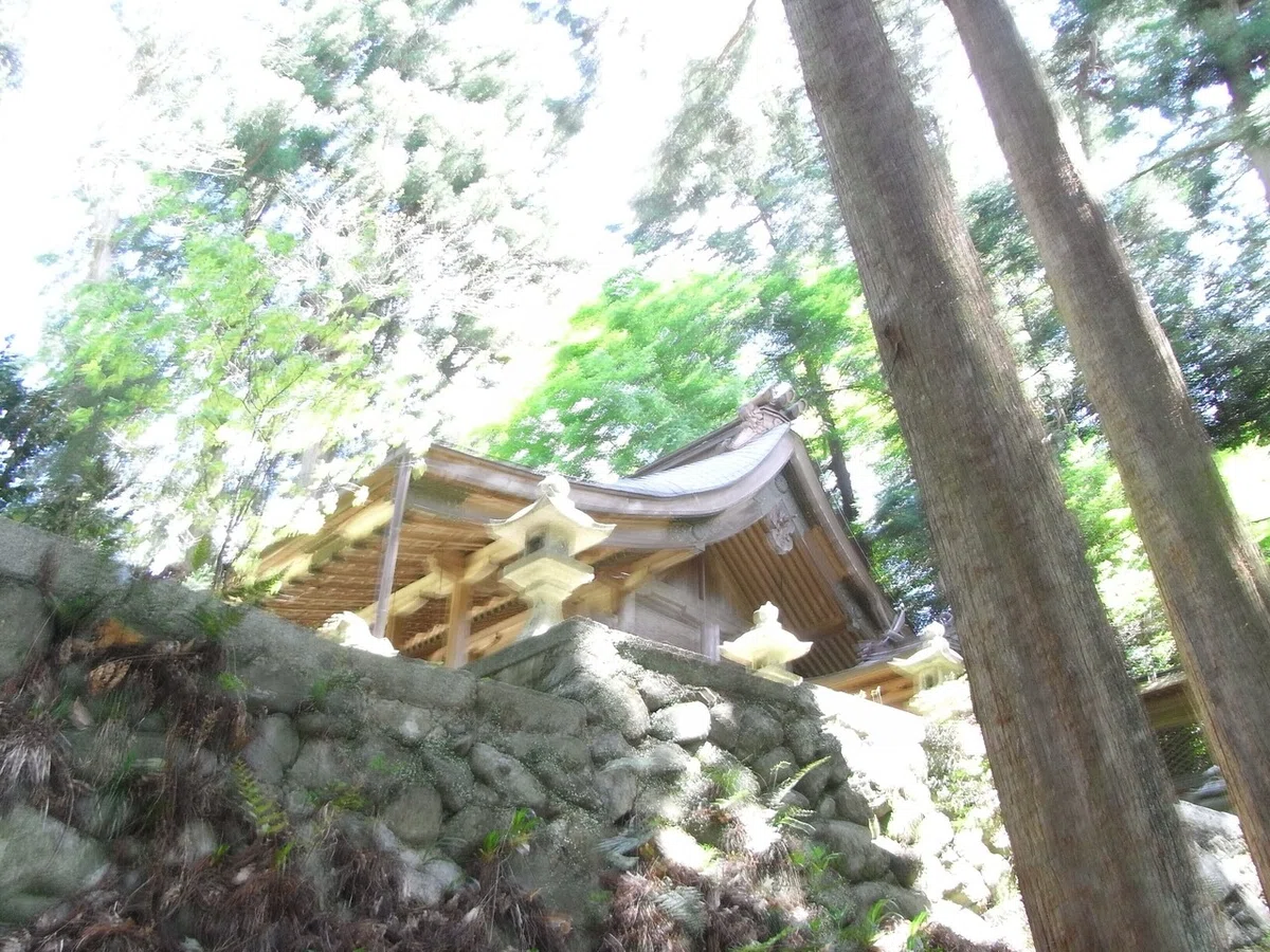 画像11