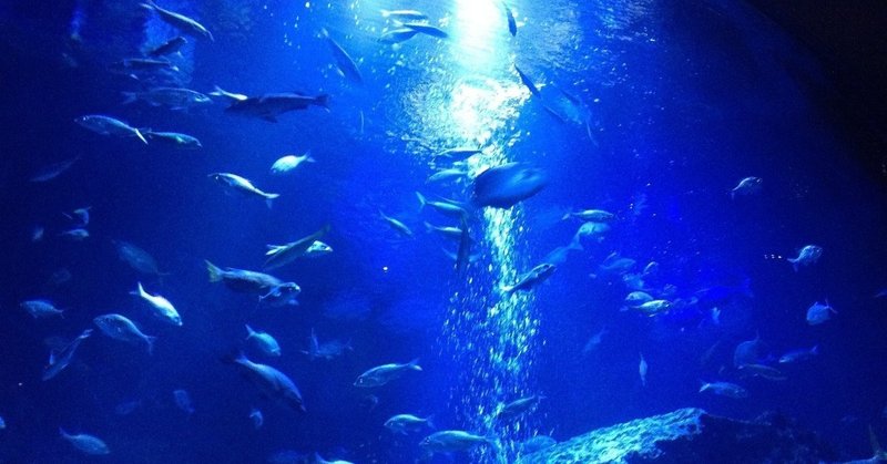 深海魚を簡単に捕まえるデバイスが開発される イノカ Note 深海魚を簡単に捕まえるデバイスが開発される イノカ Note