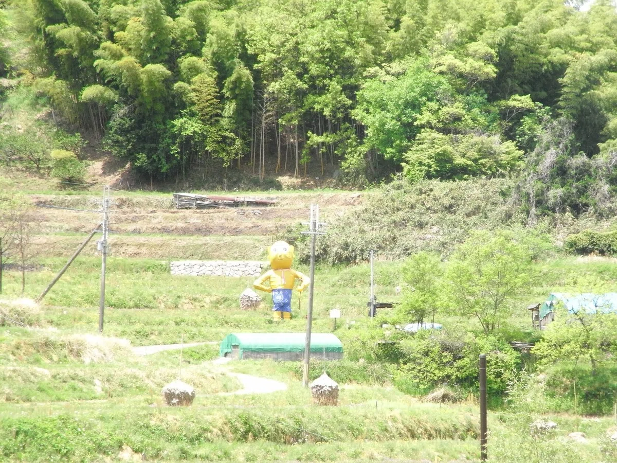 画像18
