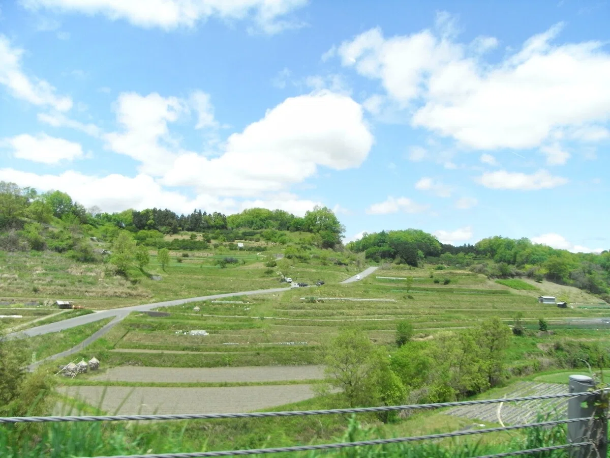 画像20