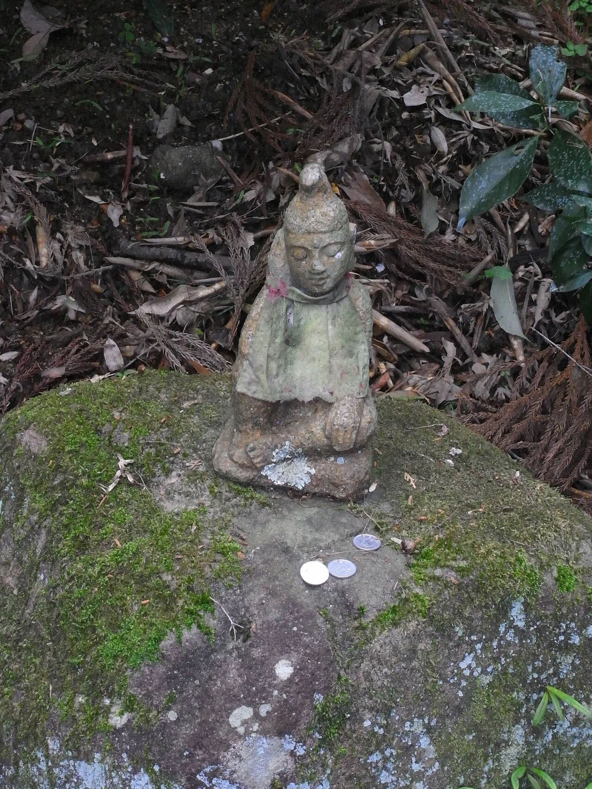 画像5