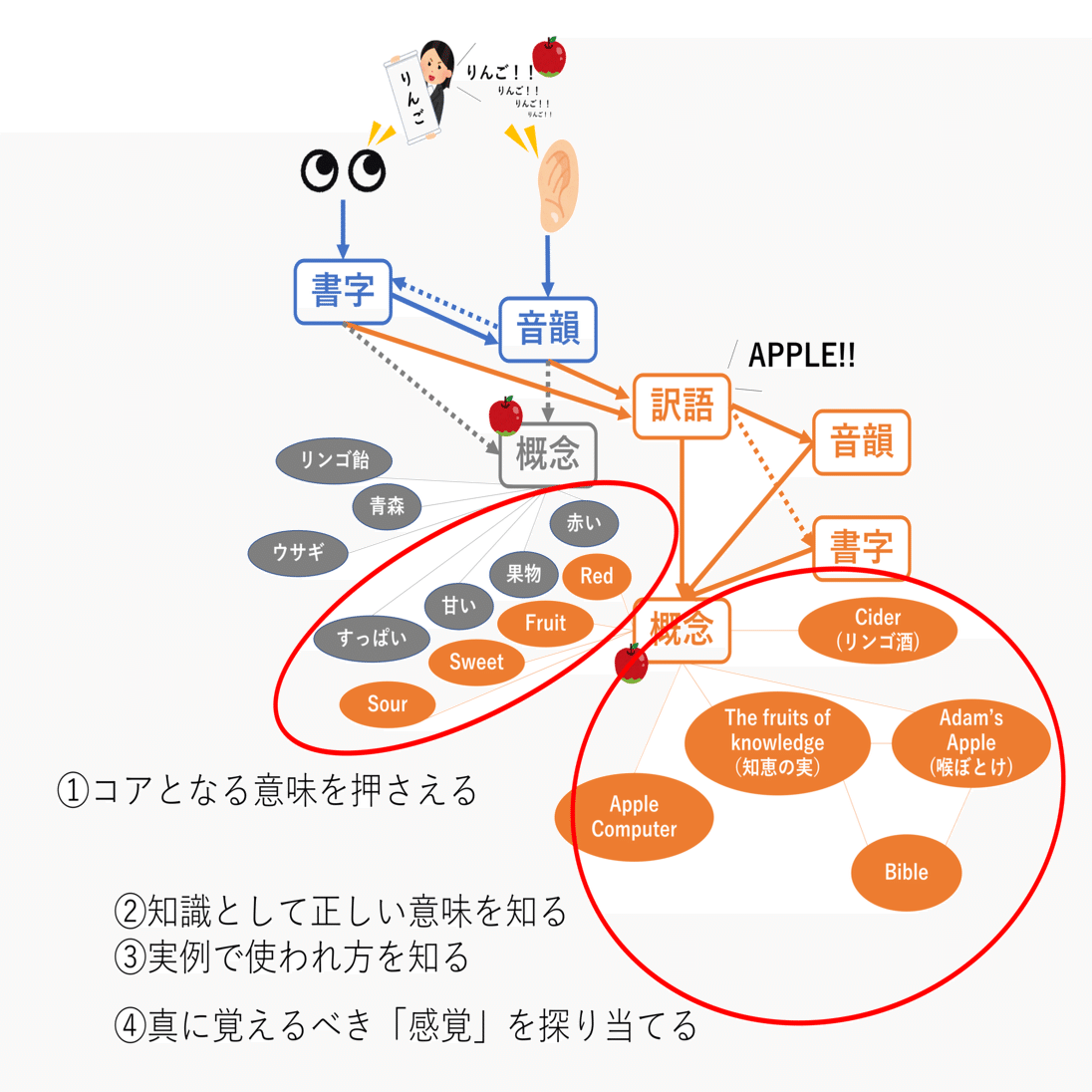 意味』とは何だろうか？（言語習得）｜徒然なるままにふつかよい