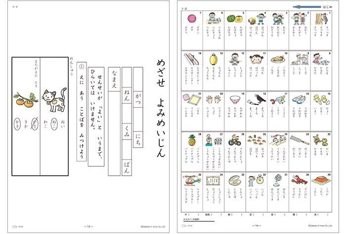 教材紹介【国語】『多層指導モデルMIM 読みのアセスメント・指導