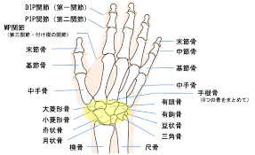 画像9