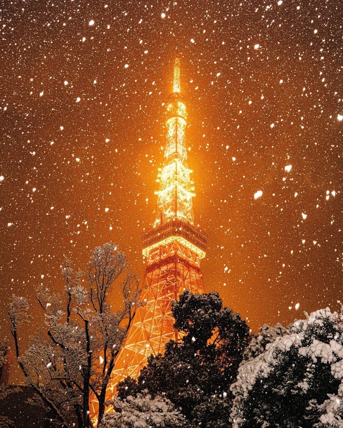 あの雪の日と東京タワー｜The Naked Writer