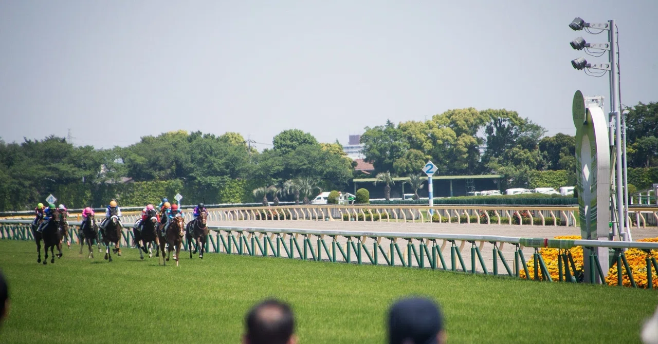 日本競馬史上最高のレースを見たときの思い出(4)|との王子
