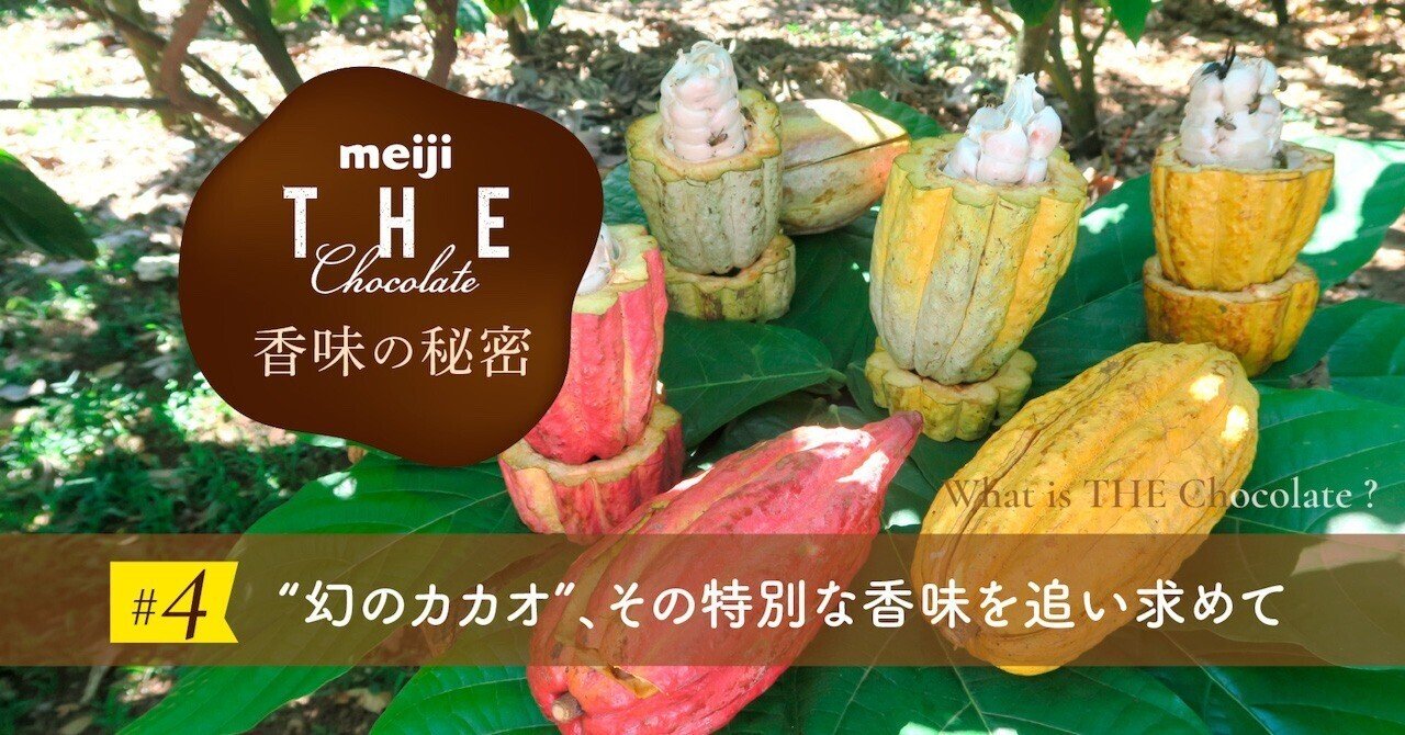 幻のカカオ”、その特別な香味を追い求めて──meiji THE Chocolateの
