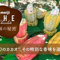 チョコレートをこよなく愛する古市さんと語り合う Meiji The Chocolate 後編 明治 ザ チョコレート