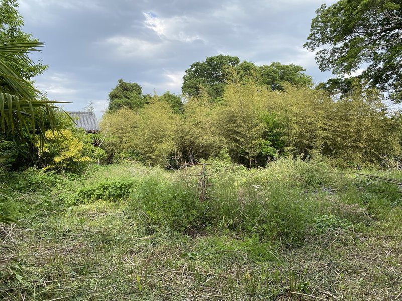 画像21を拡大表示