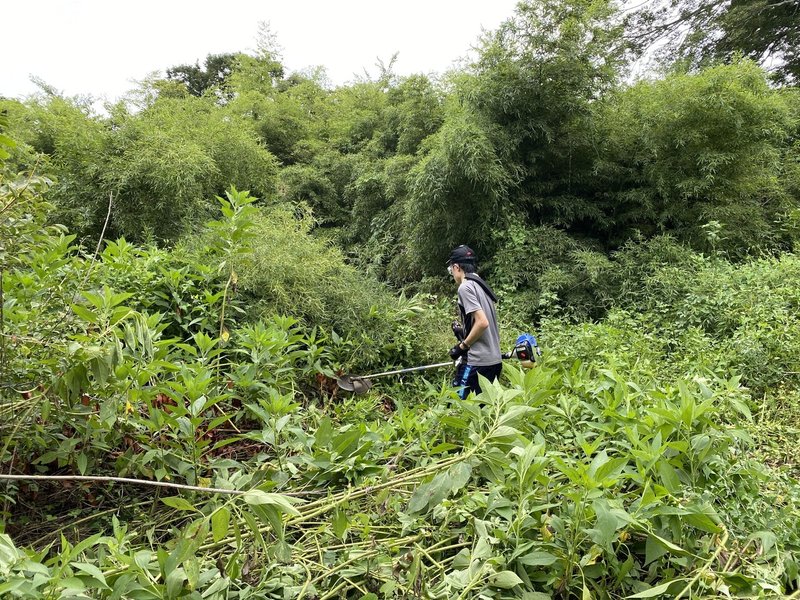 画像23を拡大表示