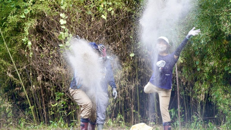 画像24を拡大表示