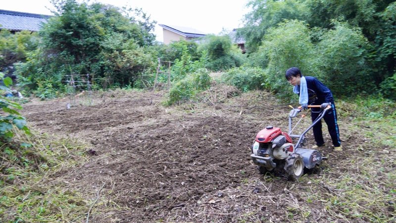 画像25を拡大表示