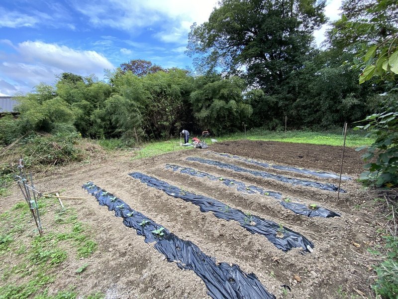 画像27を拡大表示