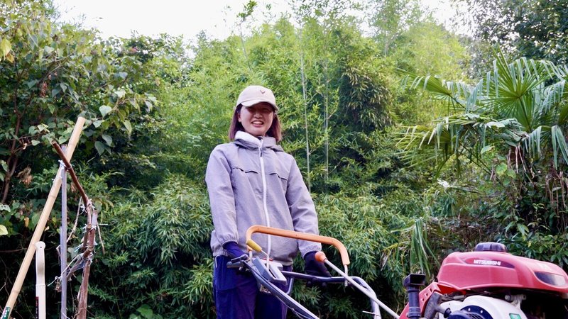 画像33を拡大表示