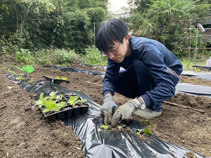 画像33を拡大表示