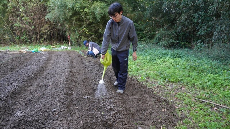 画像36を拡大表示