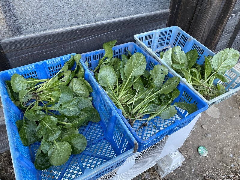 画像37を拡大表示