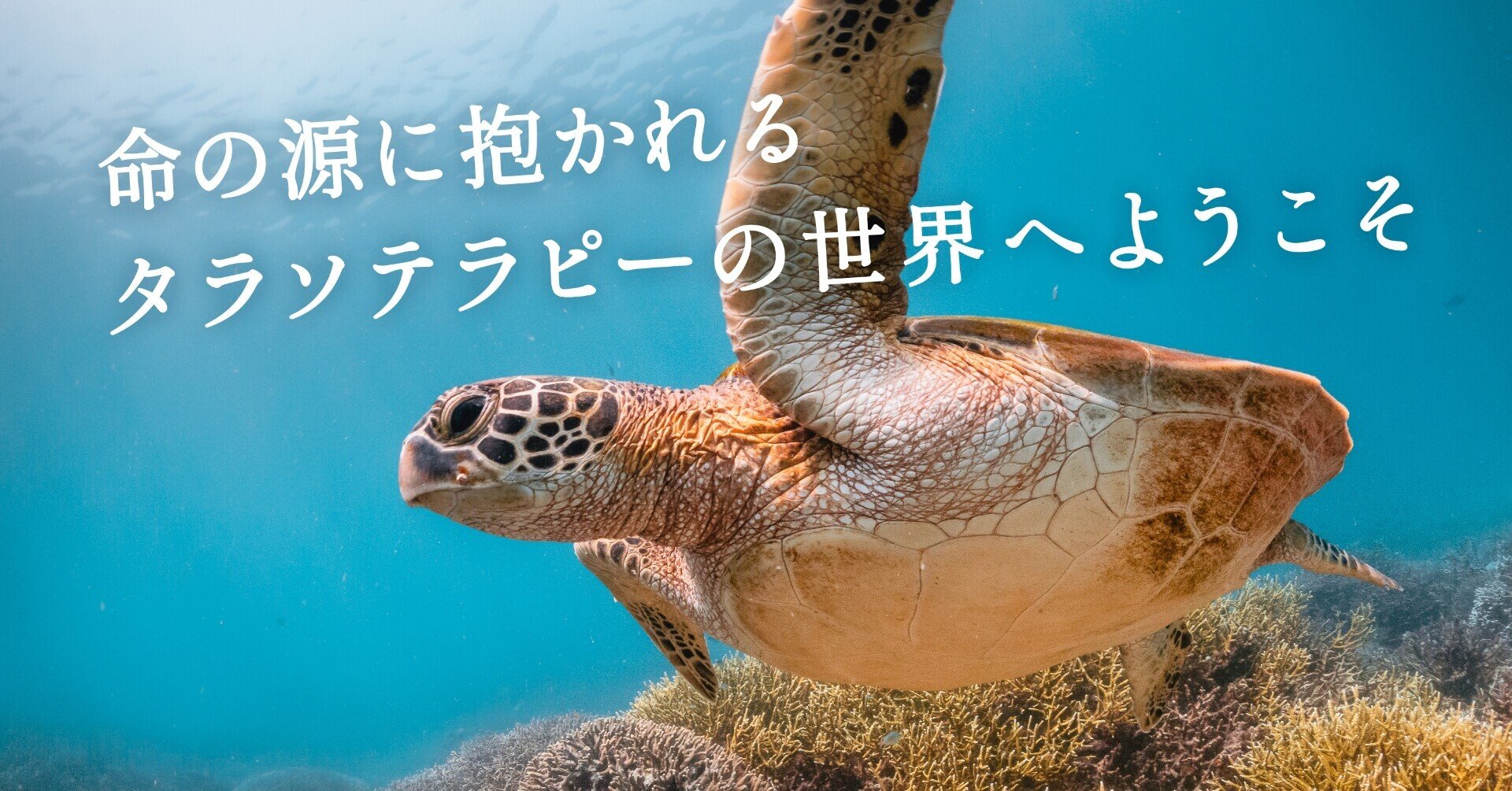 命の源に抱かれる タラソテラピーの世界へようこそ｜ONENESS MAG