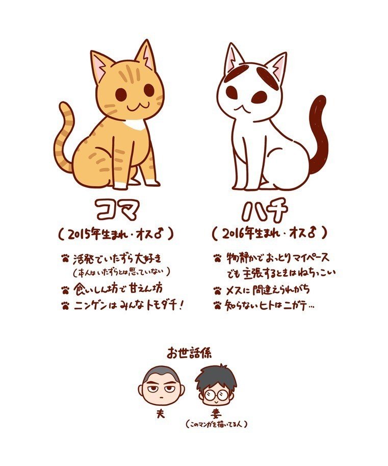 猫漫画の猫紹介 成島真衣 Note 猫漫画の猫紹介 成島真衣 Note