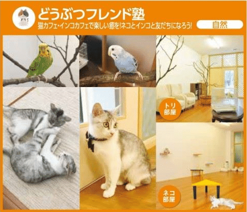 動物塾