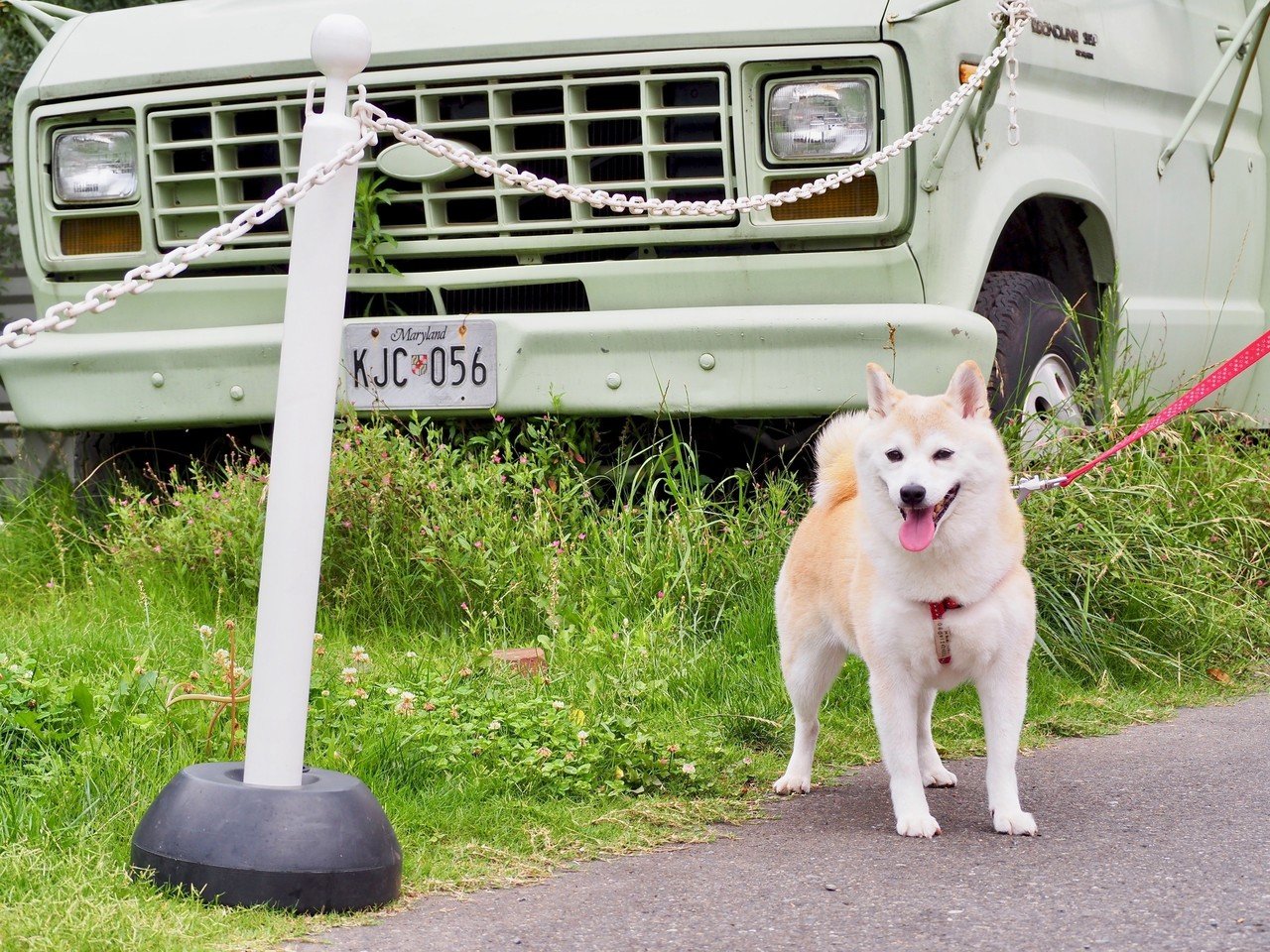 ジョンソンタウンのこまちさんふたたび 鈴木邦弘 Note