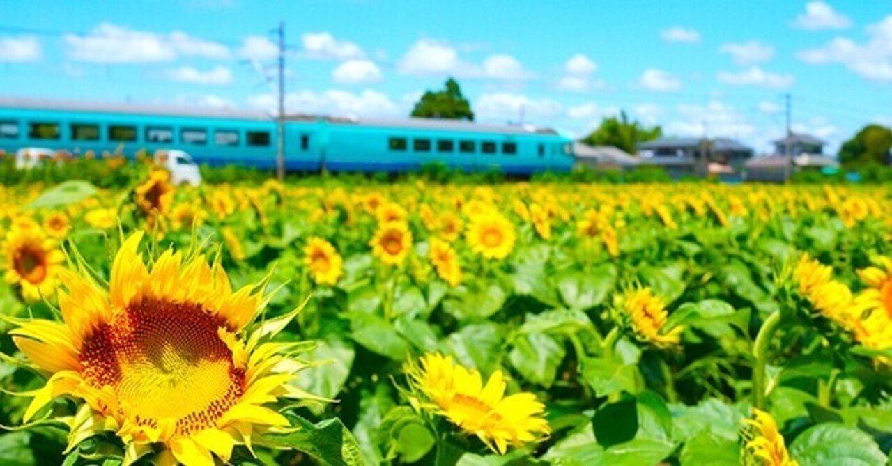 館山で美味しいウツボを食べる 京急モカ Note 館山で美味しいウツボを食べる 京急モカ Note