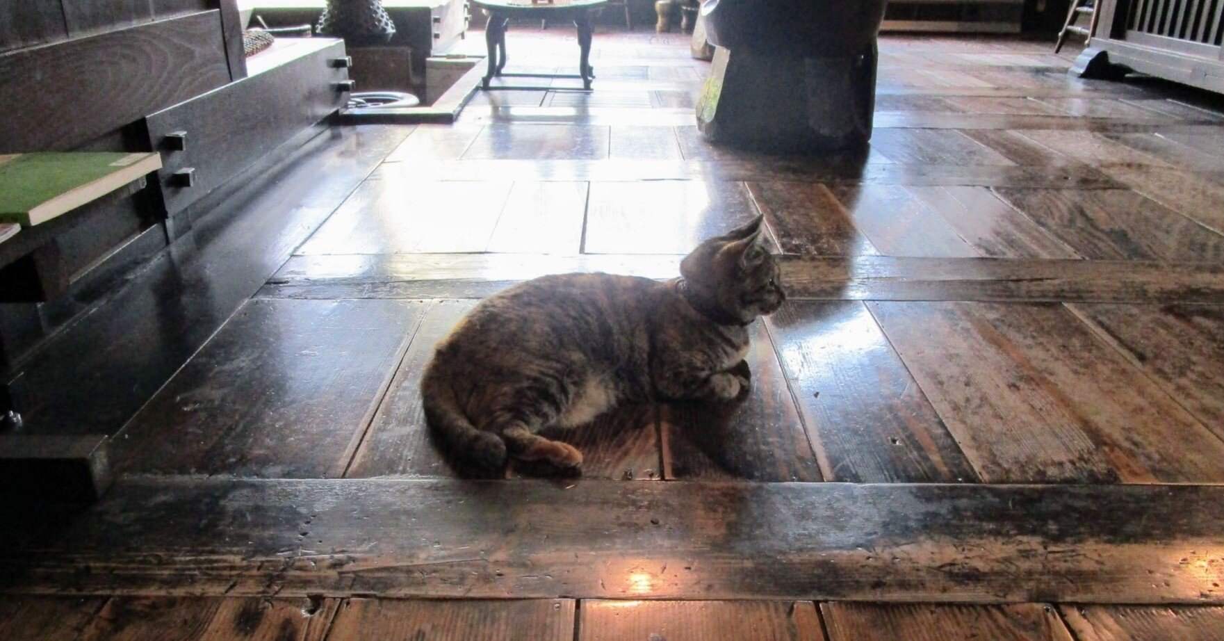 男はつらいよ 寅次郎とやきもの ：2｜美術館とお寺と猫