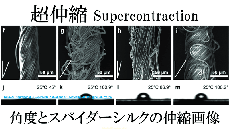 スライド21