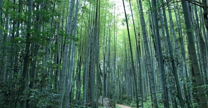 結果を出す人は、「本質」を見抜く