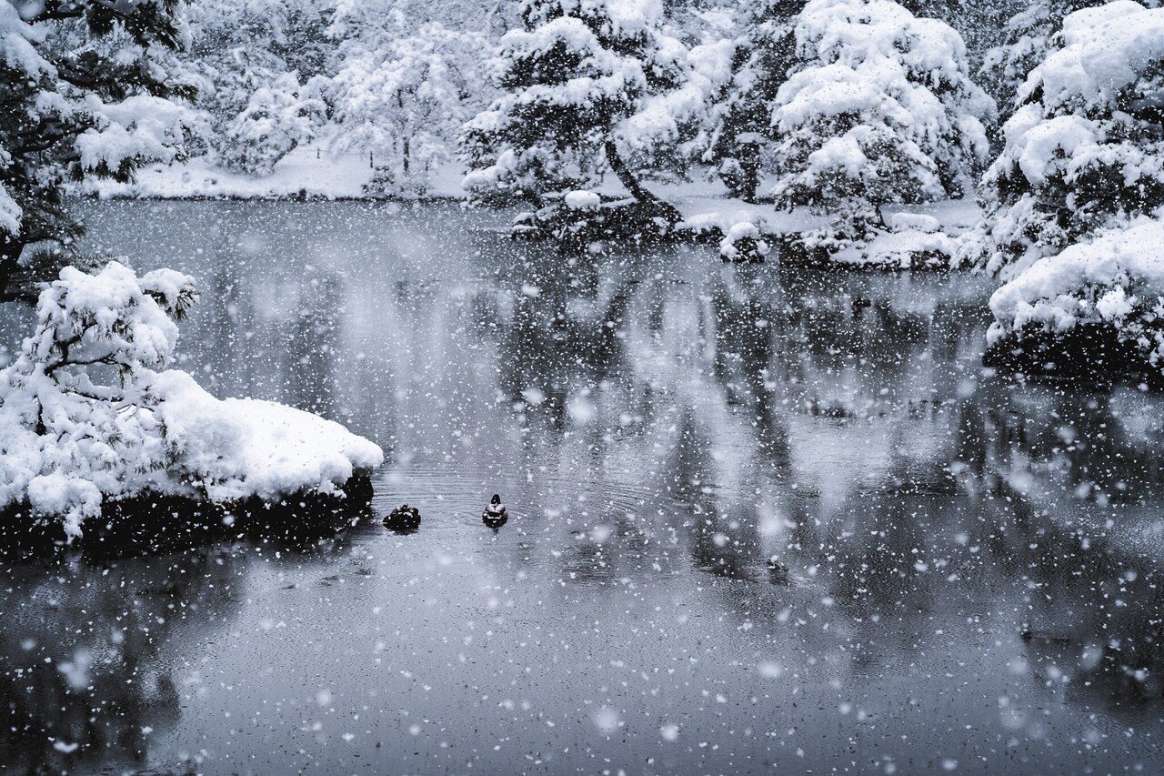 雪と金閣寺の絶景｜Kazuki〈旅と写真、時々お酒〉