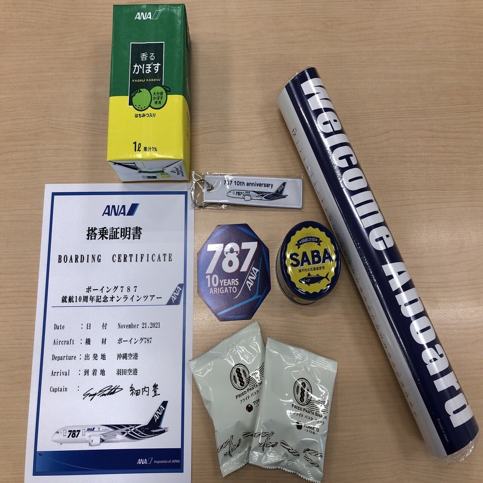 激レア　ANAフライトタグ　ボーイング787 就航10周年記念　社内贈呈品 Amazon.co.jp: ANA 全空 フライトタグ 787 就航10周年 : おもちゃ