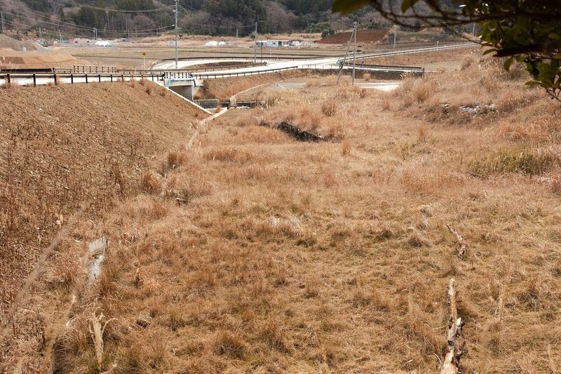 画像1を拡大表示