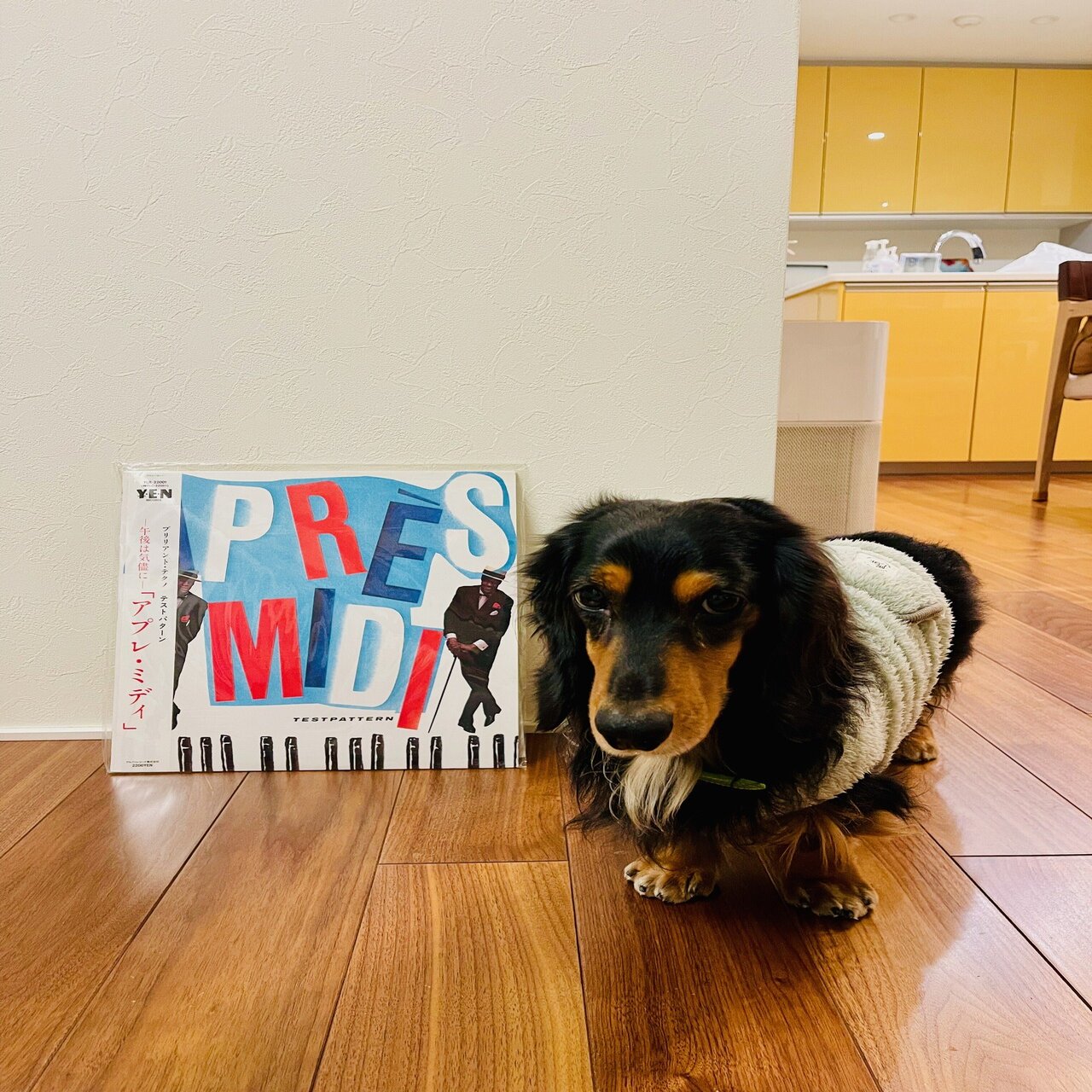 テストパターン『アプレ・ミディ』を私的リマスターをしてまで聴いて