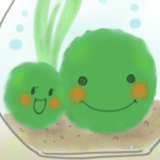 marimo