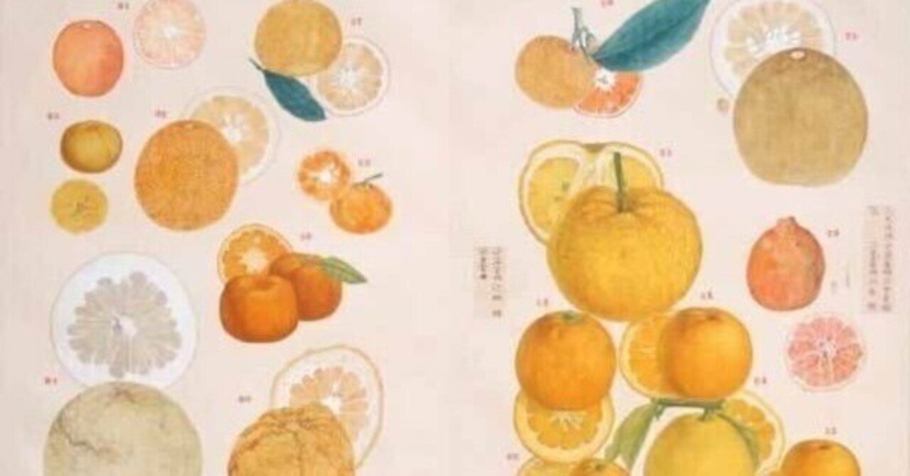 ゆずみかんさん、専用です。 【公式通販】